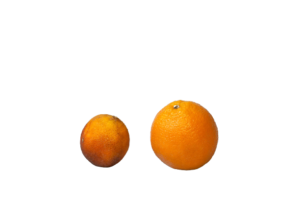 Oranges - metabolism balance